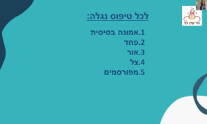 Ut enim ad minim veniam