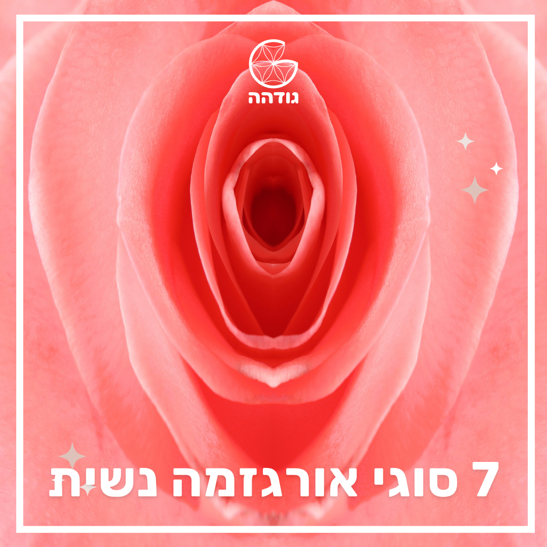 פוסטים אינסטה